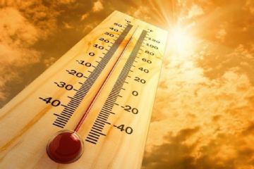 Emergenza caldo